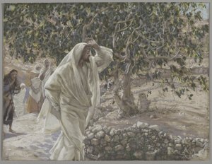 Brooklyn_Museum_-_The_Accursed_Fig_Tree_(Le_figuier_maudit)_-_James_Tissot